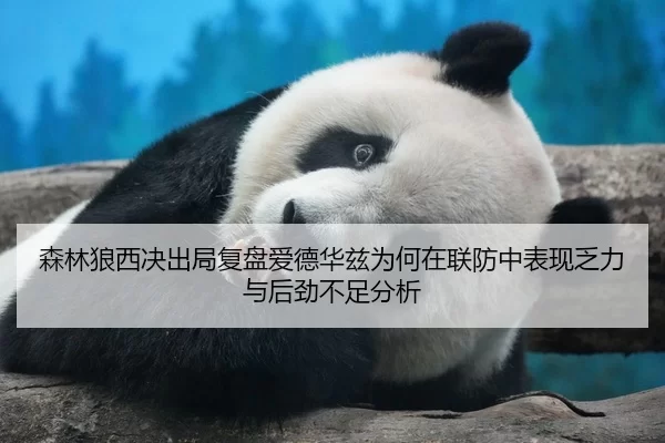 森林狼西决出局复盘爱德华兹为何在联防中表现乏力与后劲不足分析