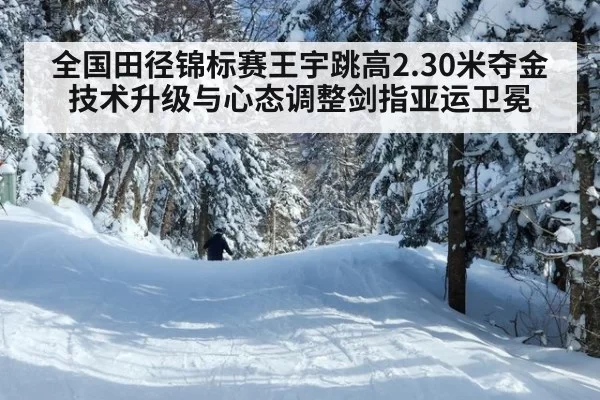 全国田径锦标赛王宇跳高2.30米夺金 技术升级与心态调整剑指亚运卫冕