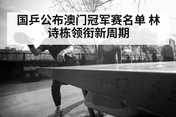 Lin Shidong table tennis | pgdianzi