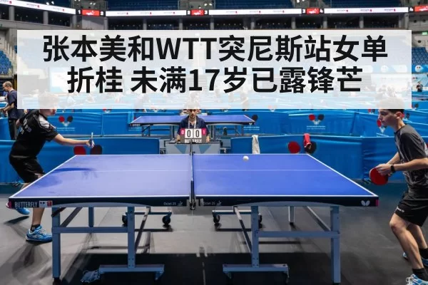 table tennis match | pgdianzi