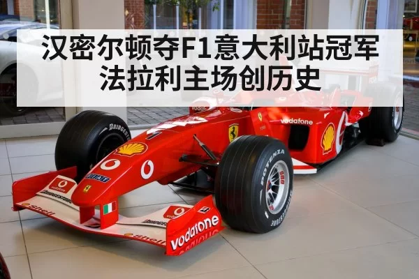 Lewis Hamilton Ferrari | pgdianzi